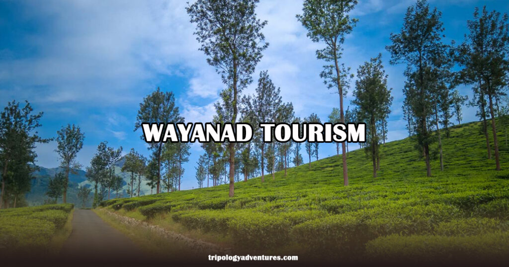 Wayanad Tourist Places